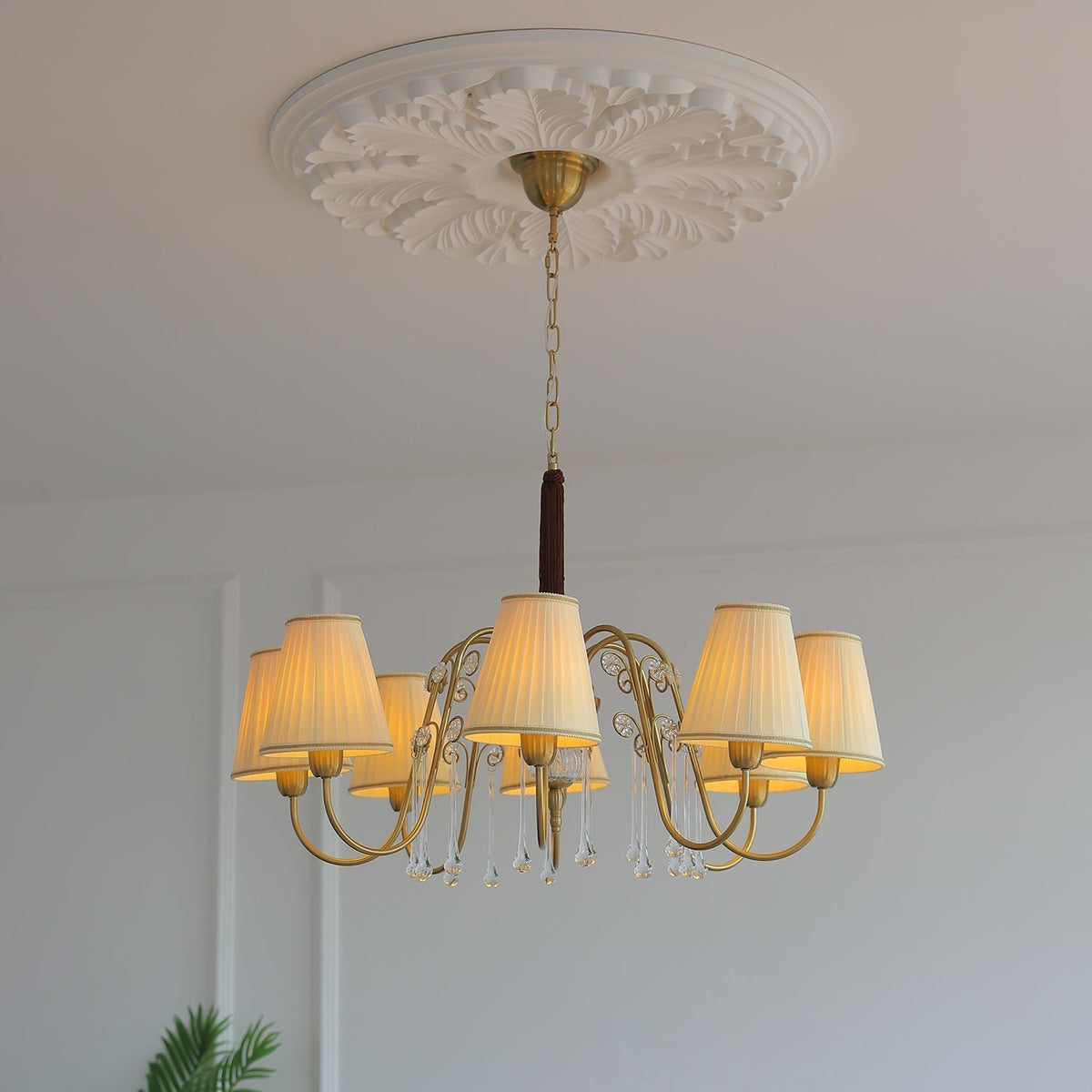 Mondia lampadario
