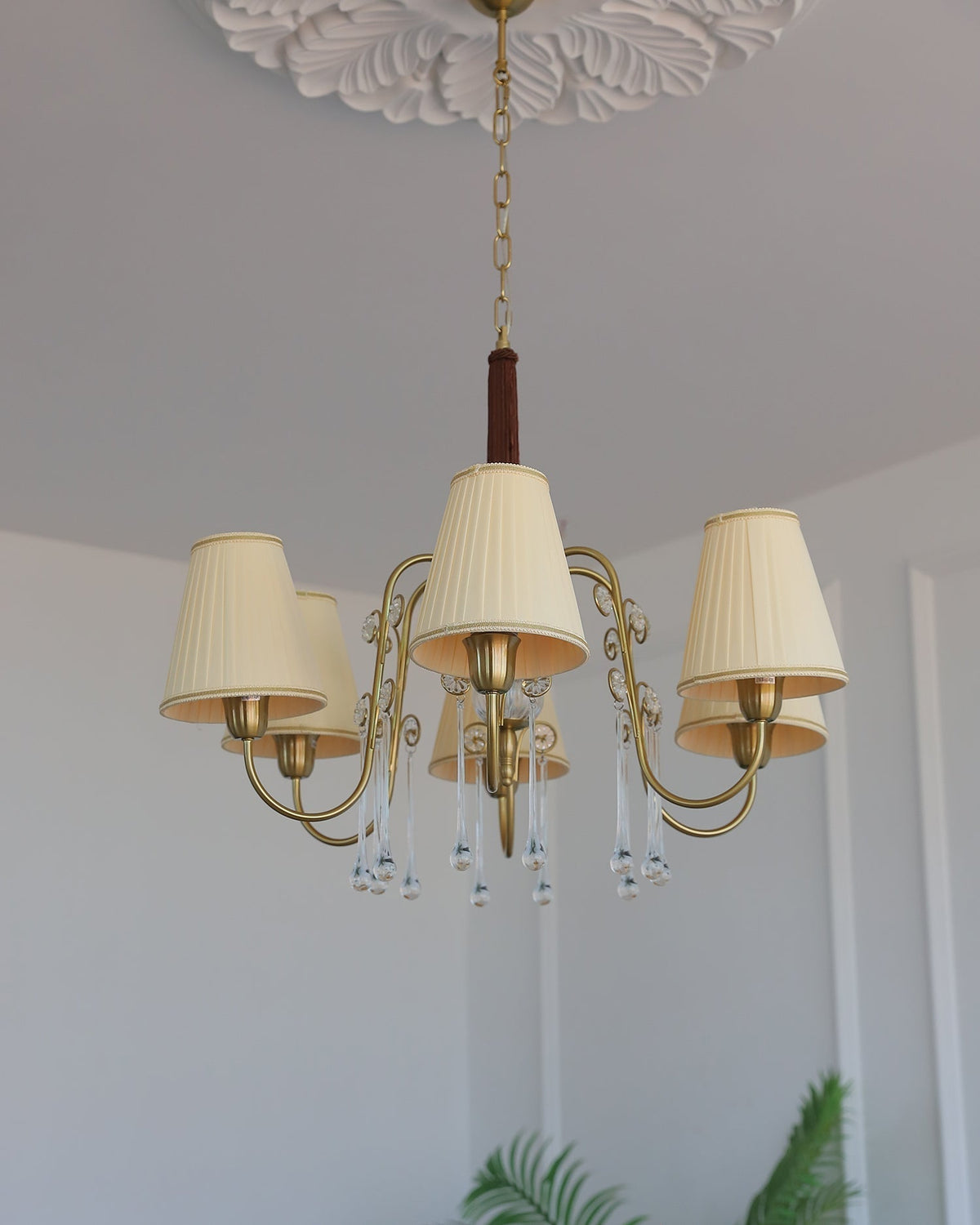Mondia lampadario