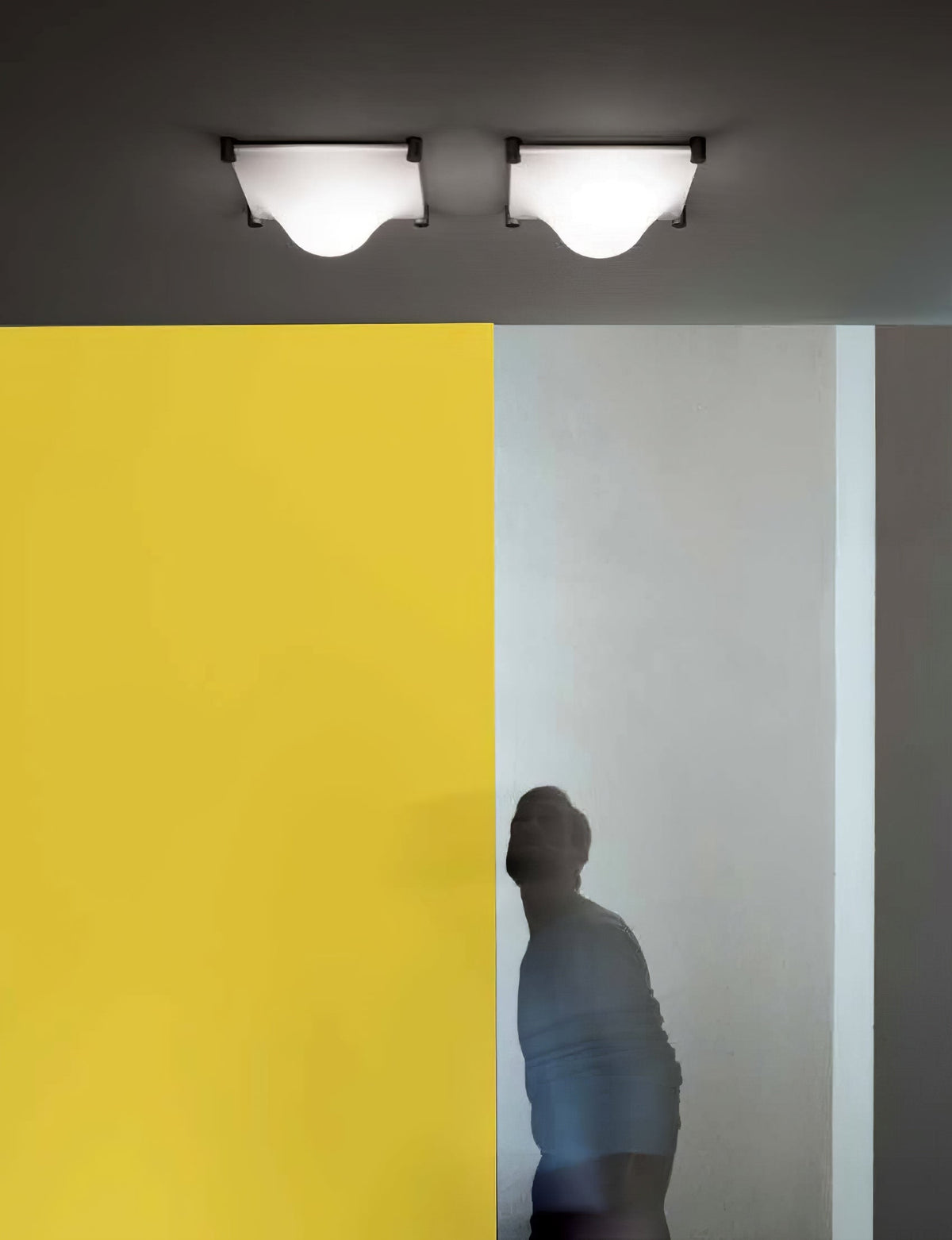 Rivoreria lampada da soffitto