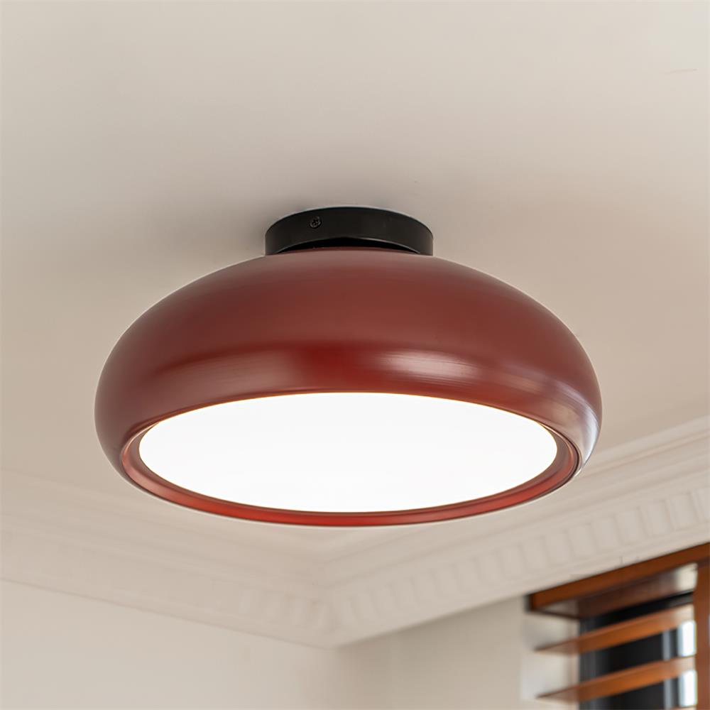 Lioreeon lampada da soffitto