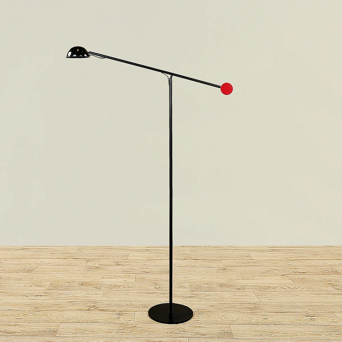 Copernica lampada da terra