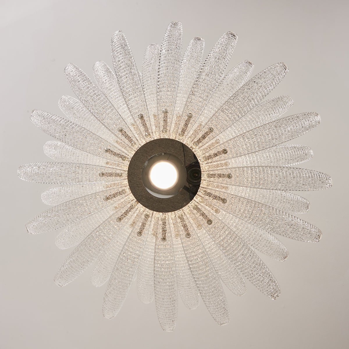Chrysant lampadario