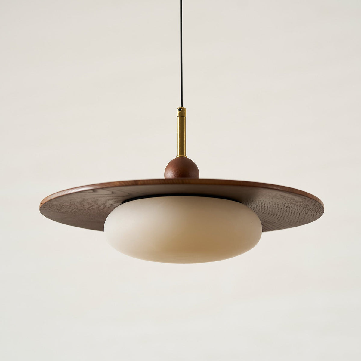 Viraeriella lampada a sospensione