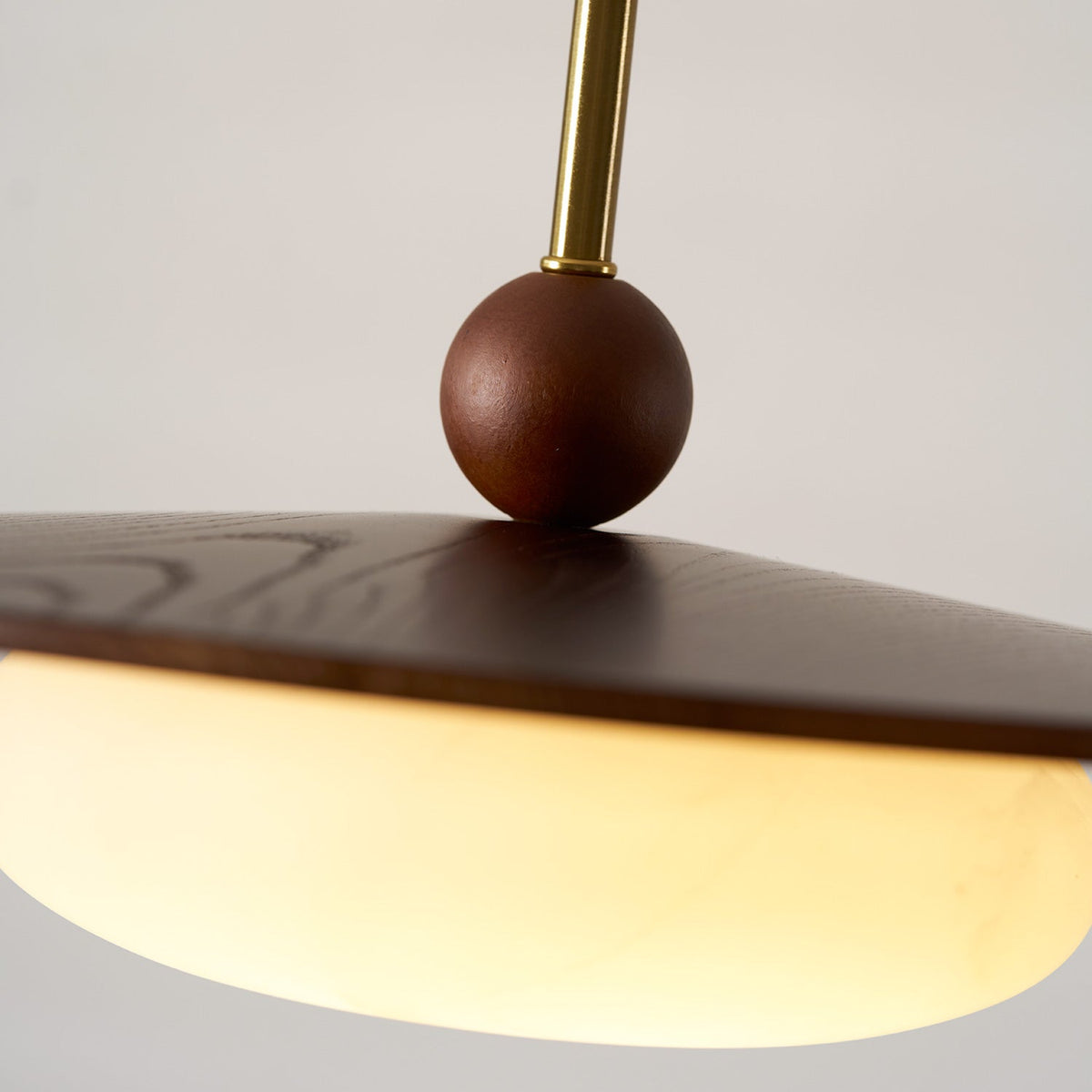 Viraeriella lampada a sospensione