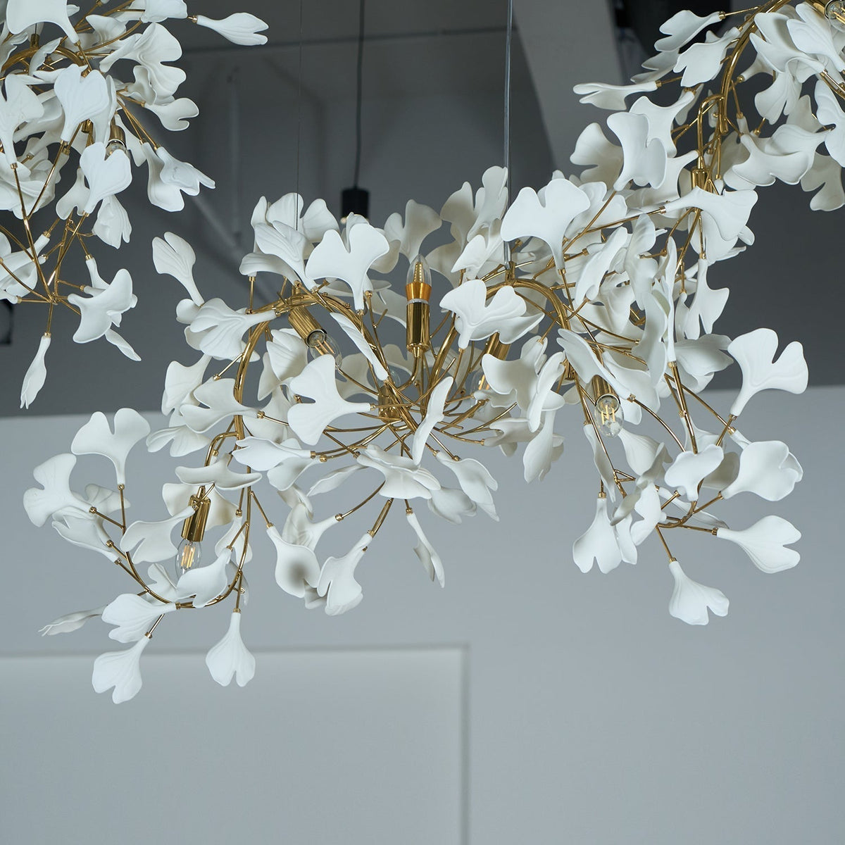 Terienissa lampadario