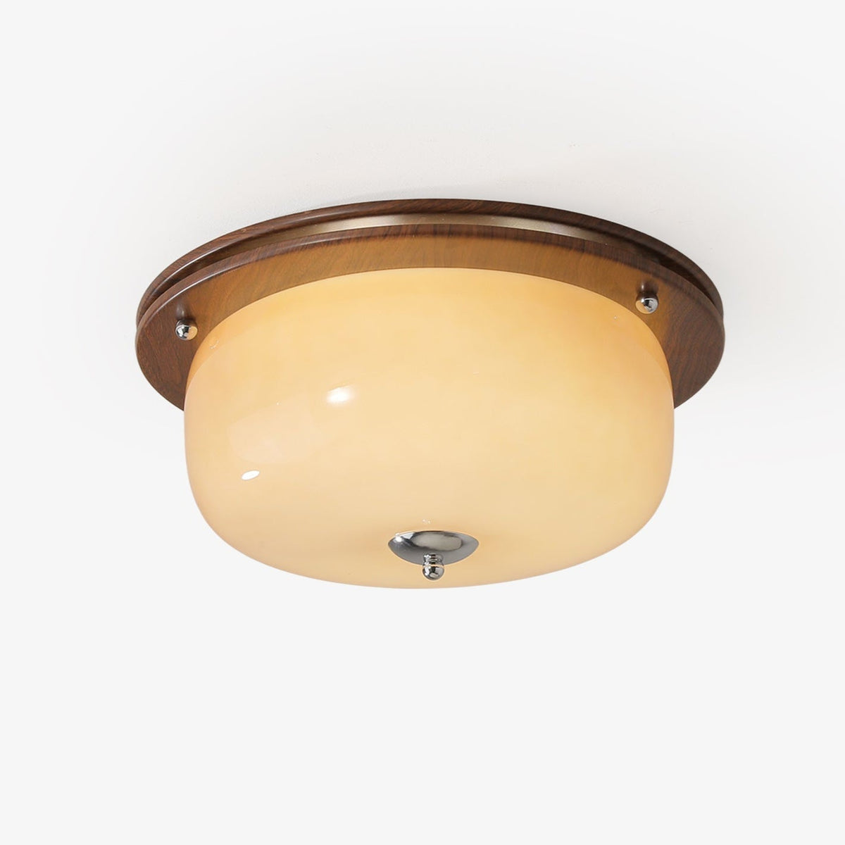 Vetheel plafoniera Premium Nordic Art Dome in vetro