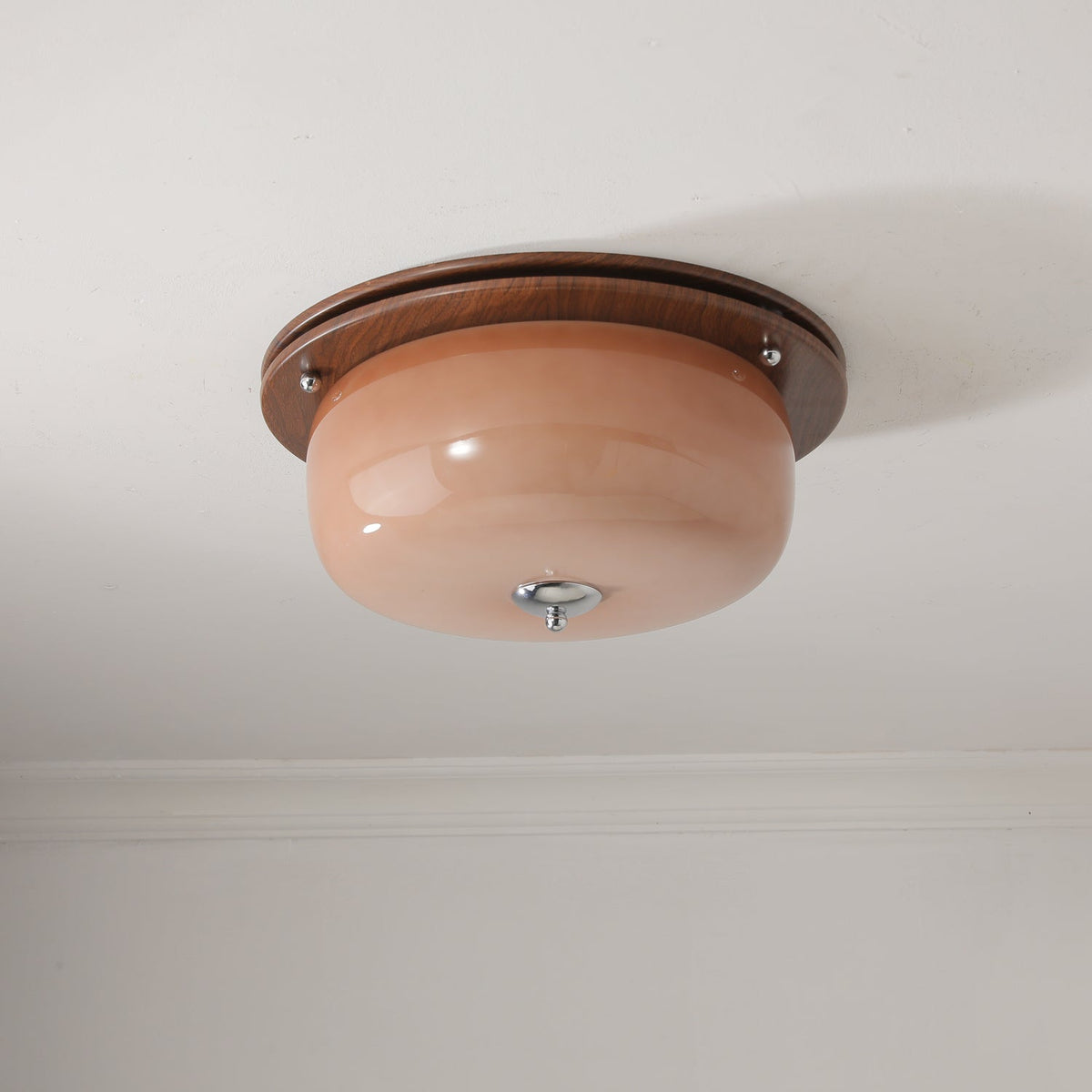 Vetheel plafoniera Premium Nordic Art Dome in vetro