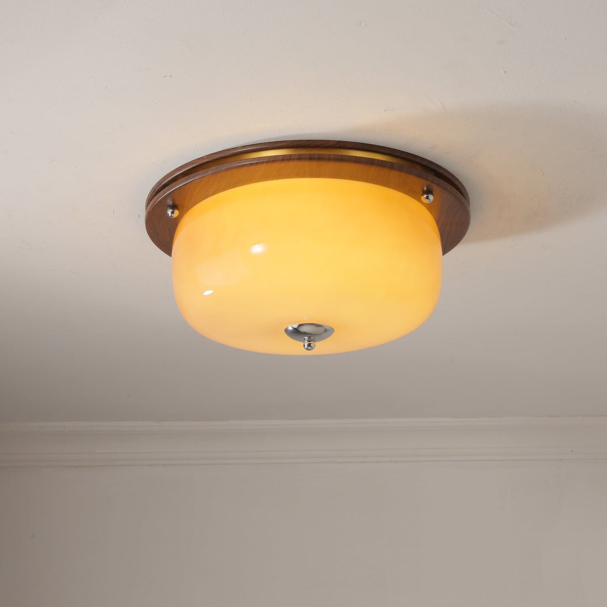 Vetheel plafoniera Premium Nordic Art Dome in vetro