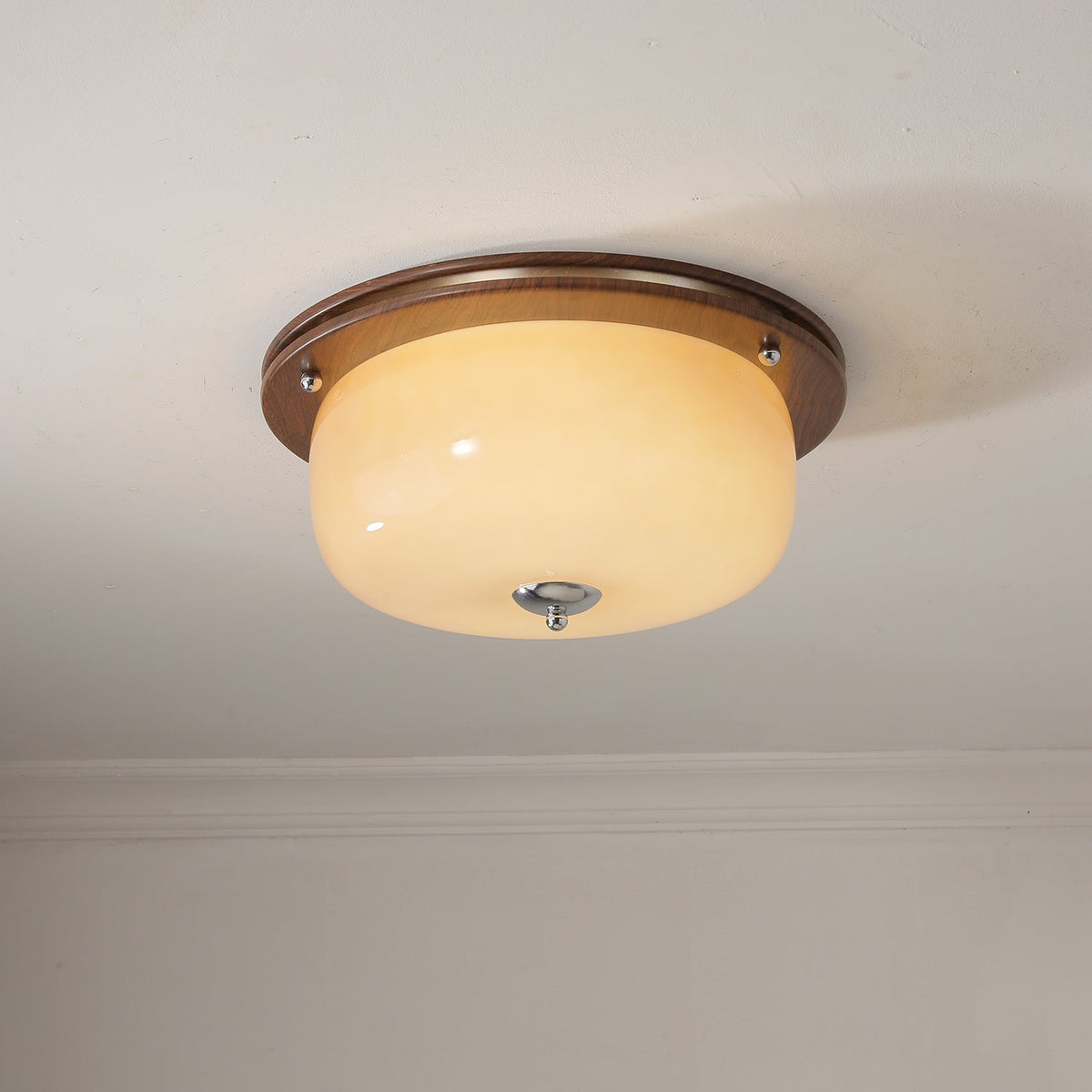 Vetheel plafoniera Premium Nordic Art Dome in vetro