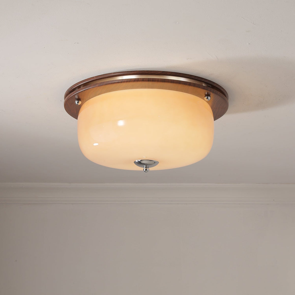 Vetheel plafoniera Premium Nordic Art Dome in vetro