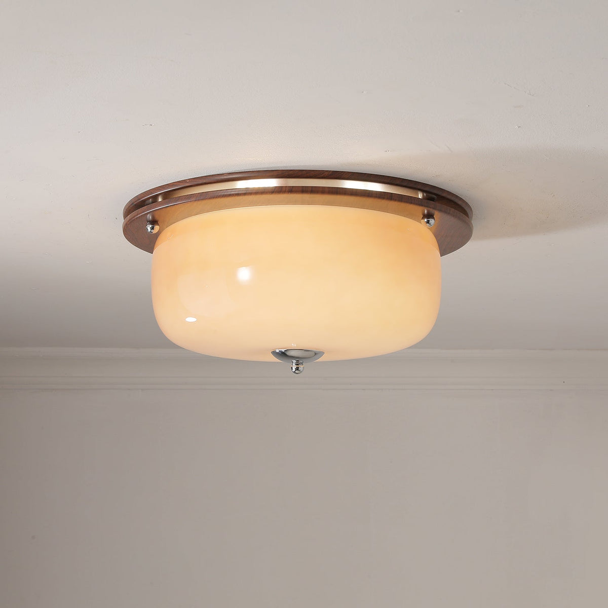 Vetheel plafoniera Premium Nordic Art Dome in vetro