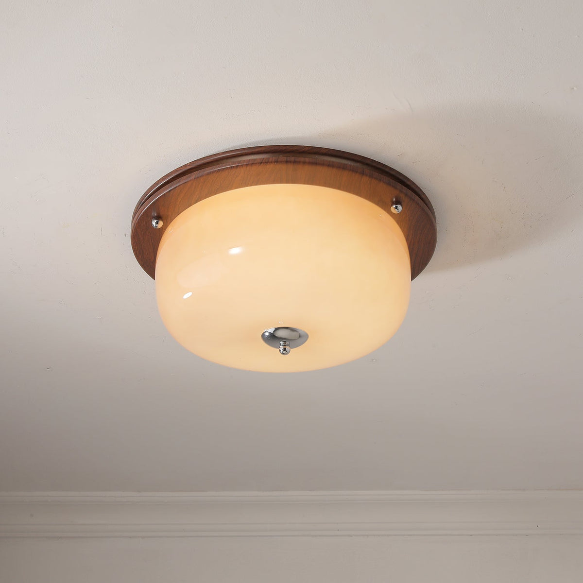 Vetheel plafoniera Premium Nordic Art Dome in vetro