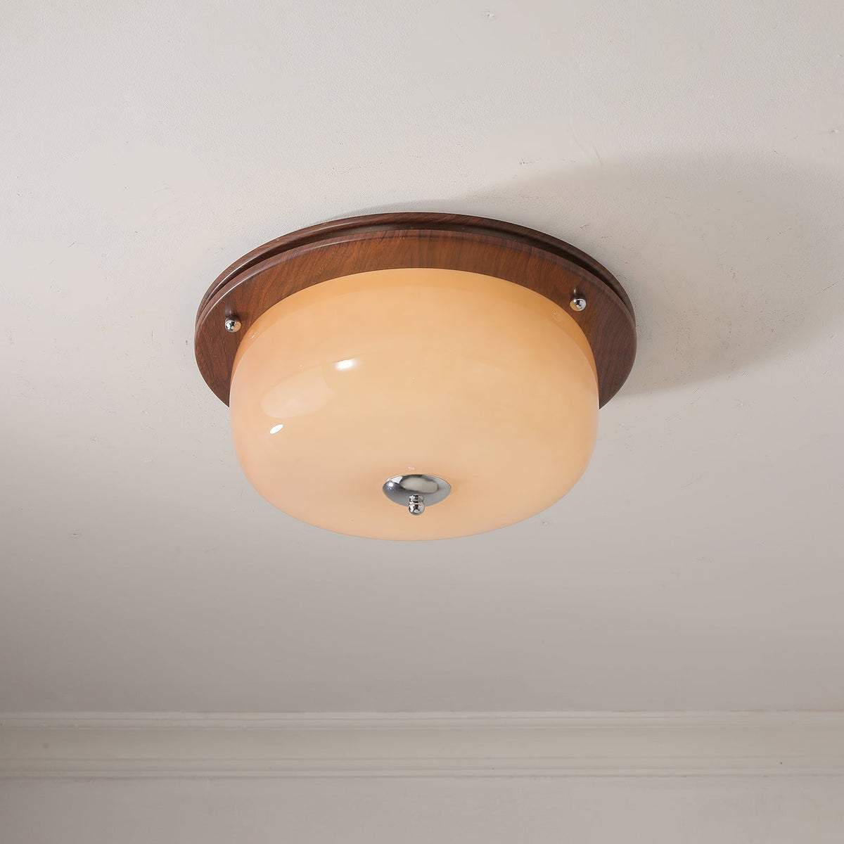 Vetheel plafoniera Premium Nordic Art Dome in vetro