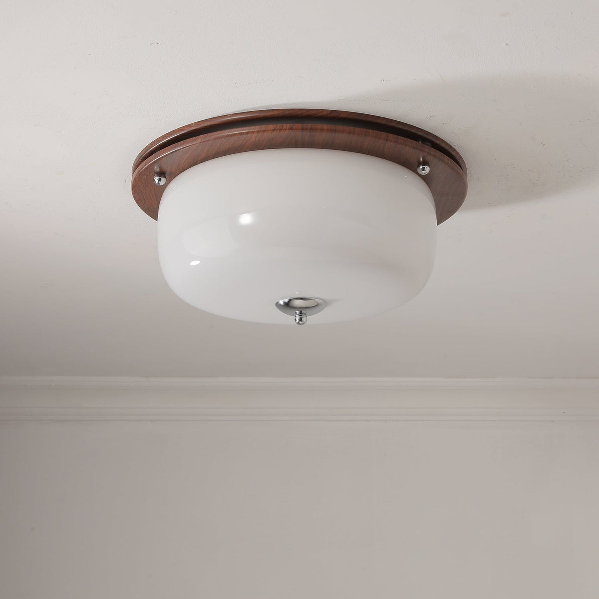 Vetheel plafoniera Premium Nordic Art Dome in vetro