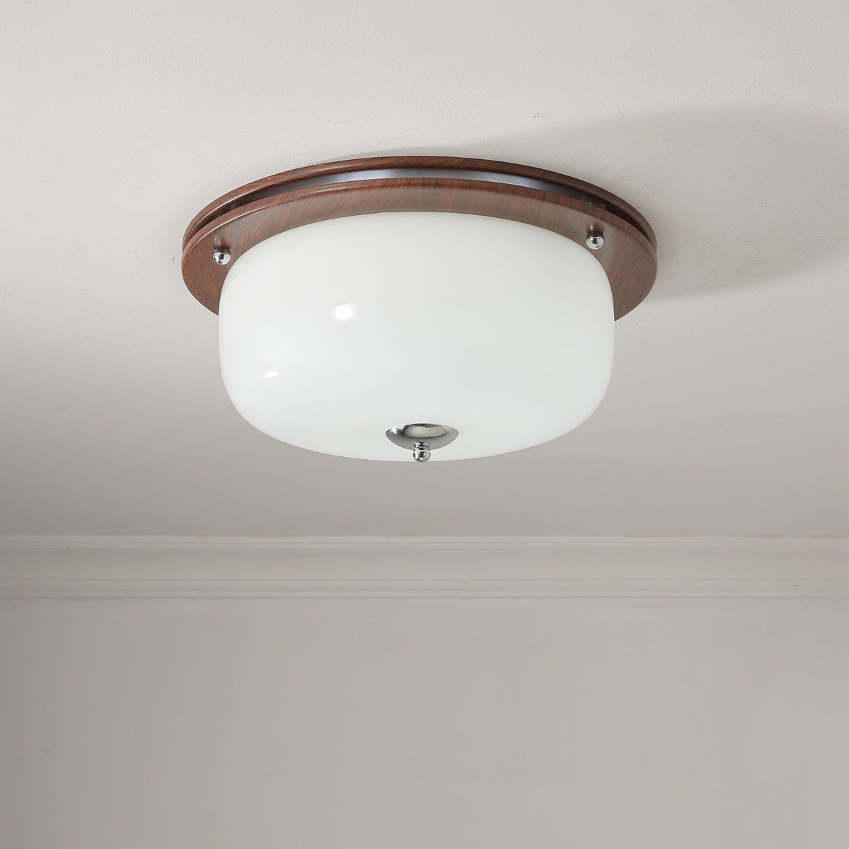 Vetheel plafoniera Premium Nordic Art Dome in vetro