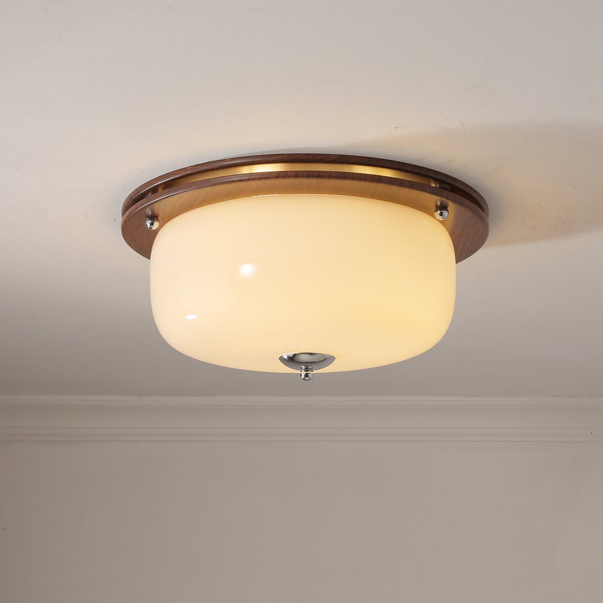 Vetheel plafoniera Premium Nordic Art Dome in vetro