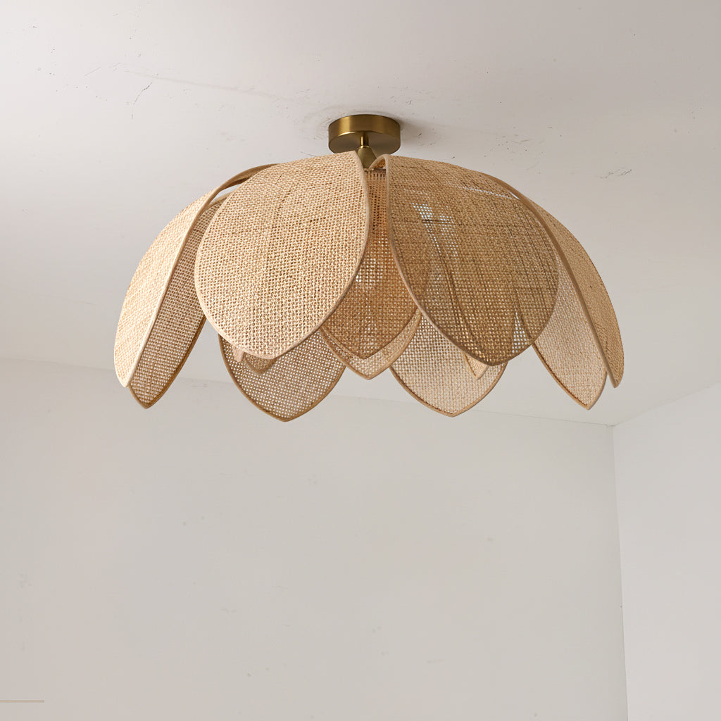 Hanove lampada da soffitto