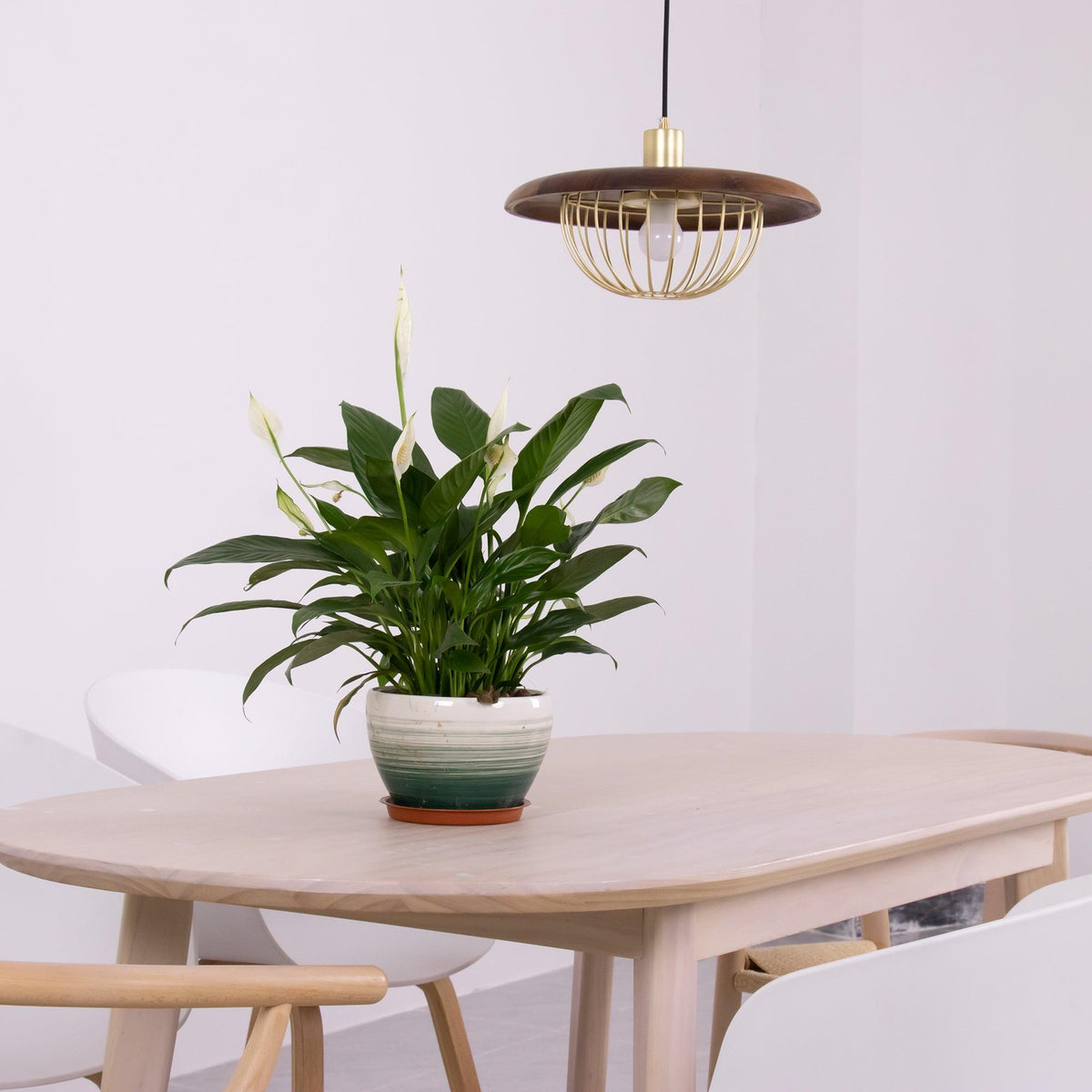 Rinoira lampada a sospensione in legno Retro vintage