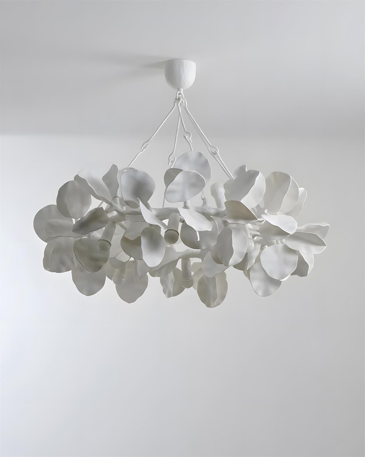 Soriella Crown lampadario