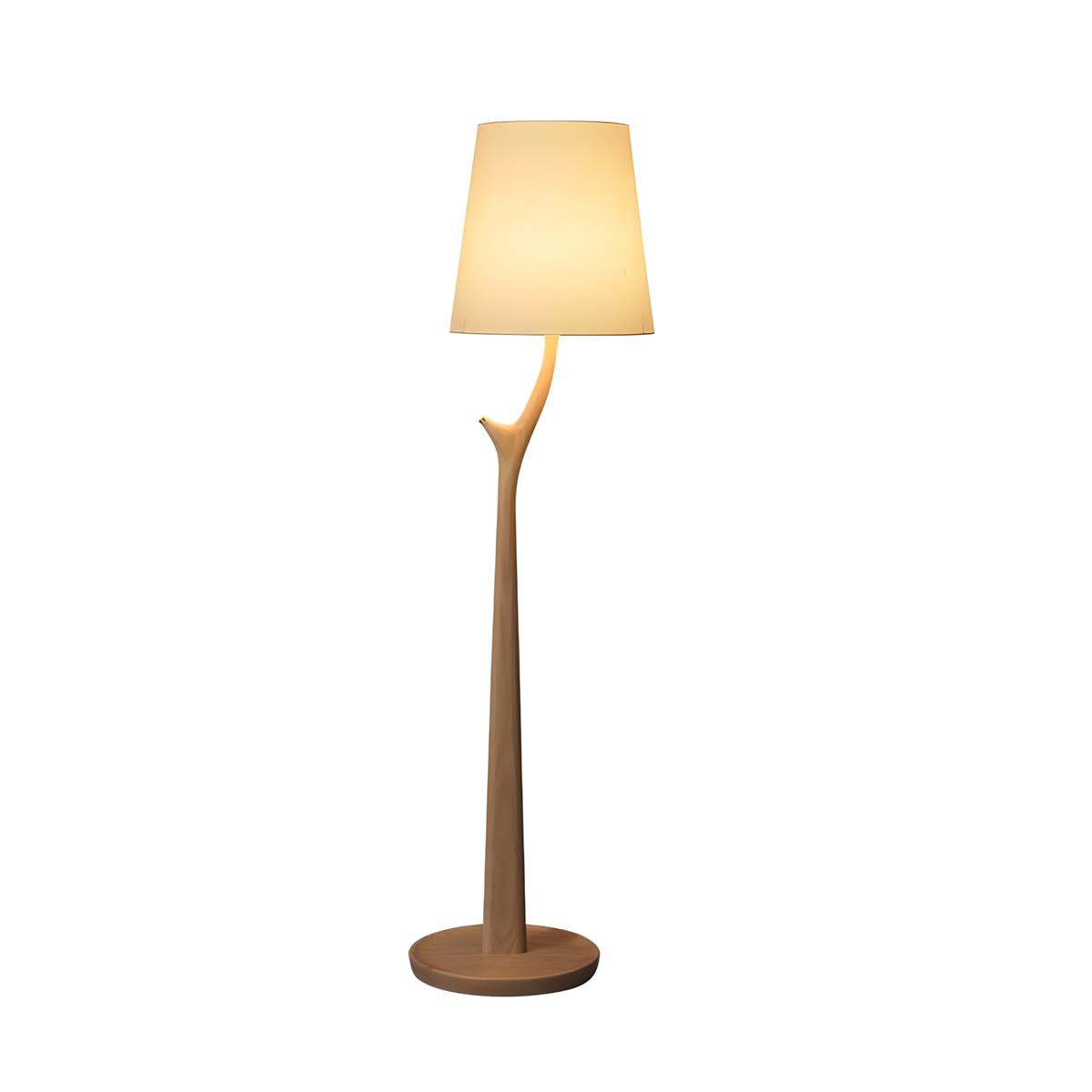 Norinia lampada da terra