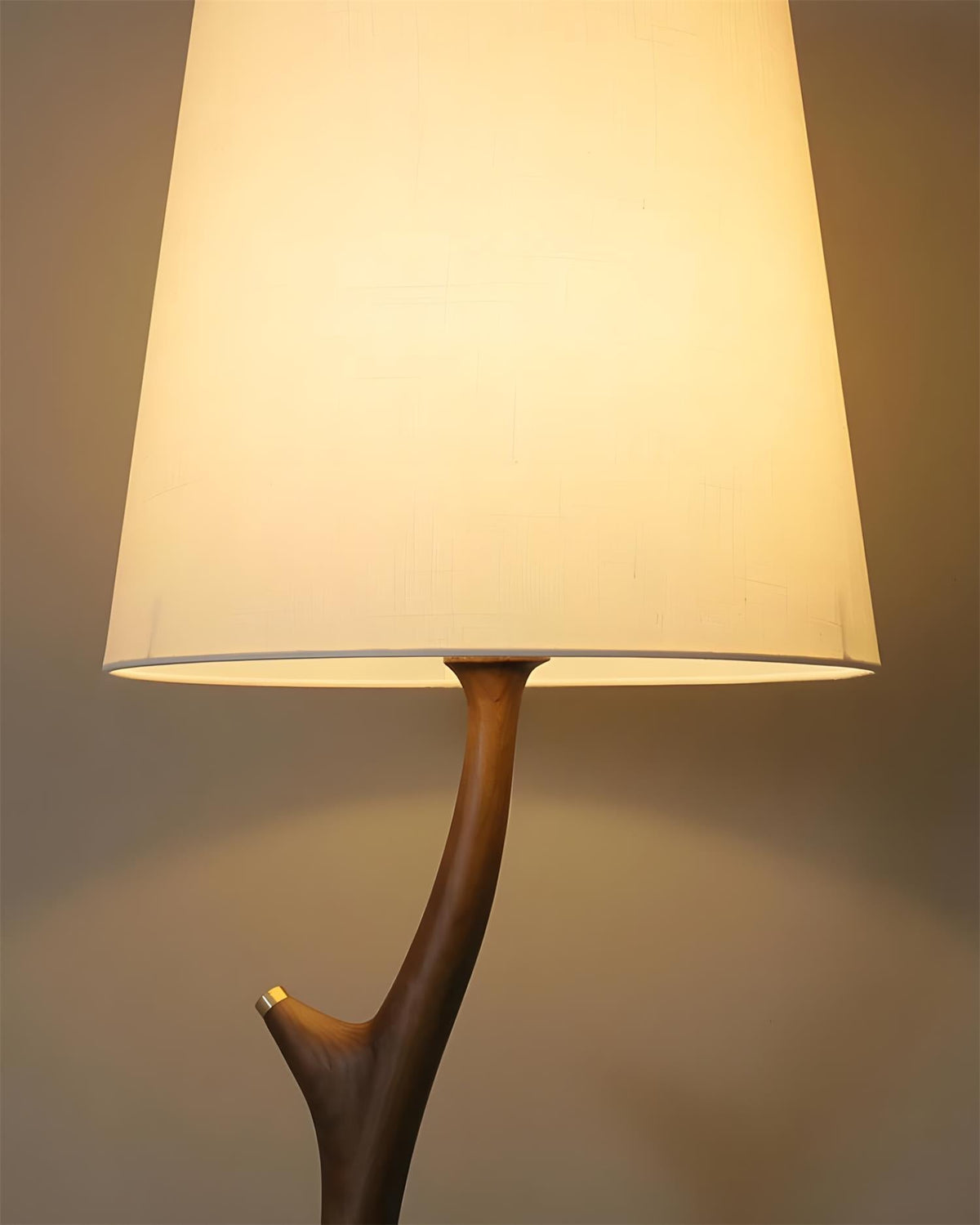 Norinia lampada da terra