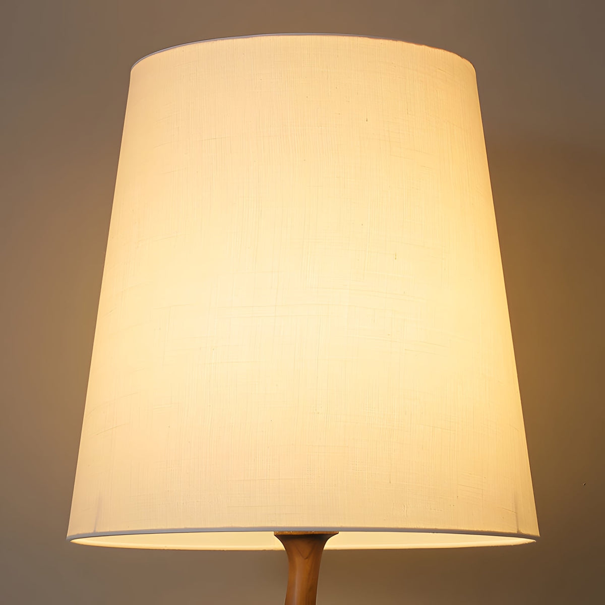 Norinia lampada da terra