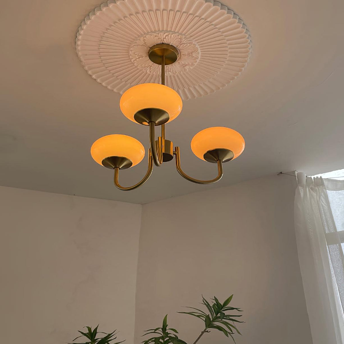 Velenian lampadario globi vetro Rosa Finitura Oro
