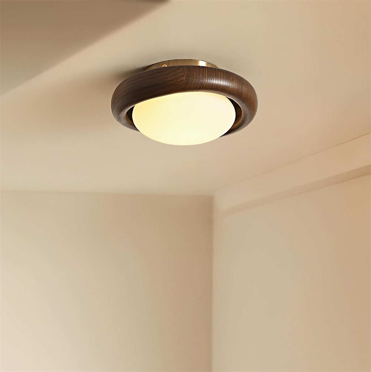 Avenuia lampada da soffitto