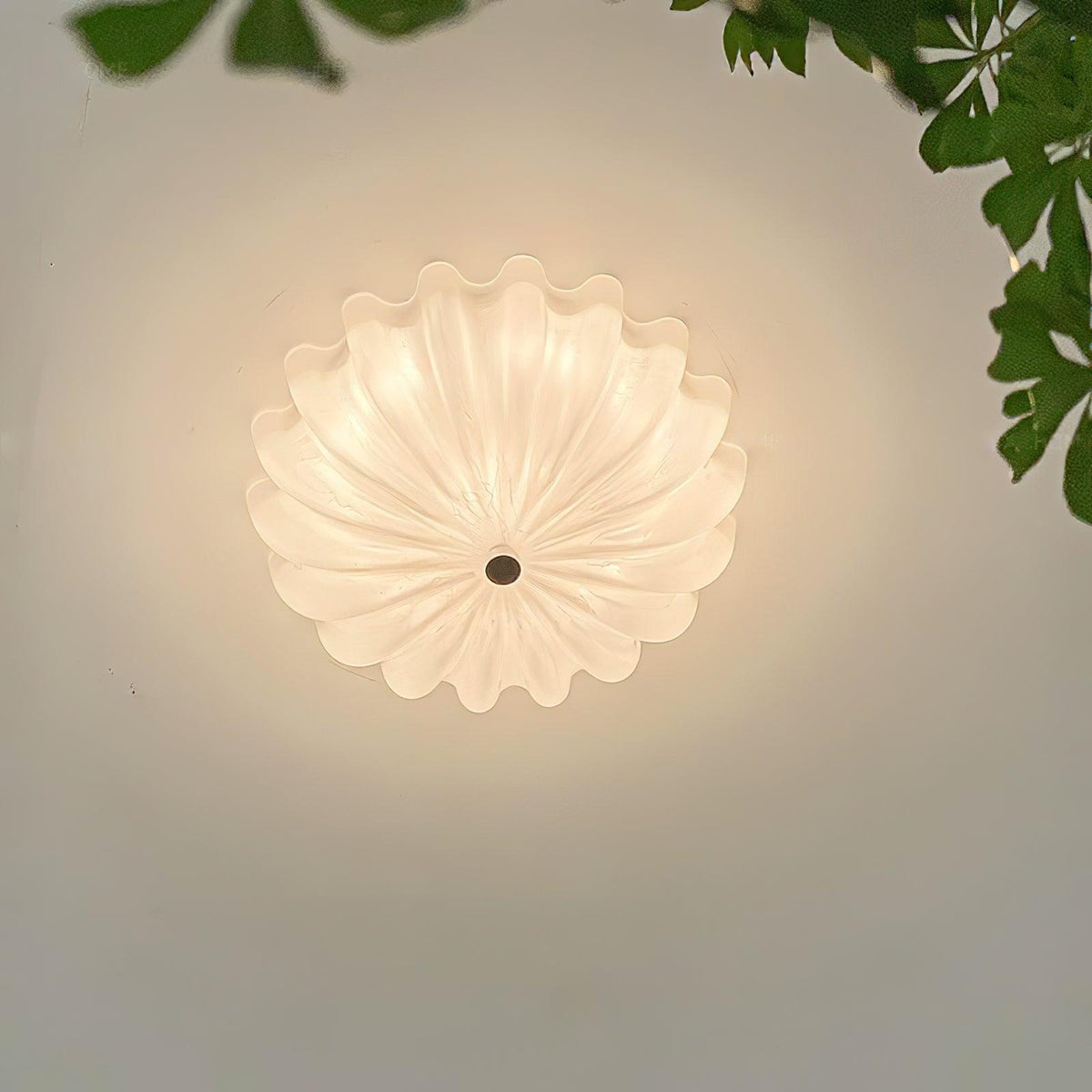 Urelis plafoniera vetro Soffiato Murano Forma Conchiglia