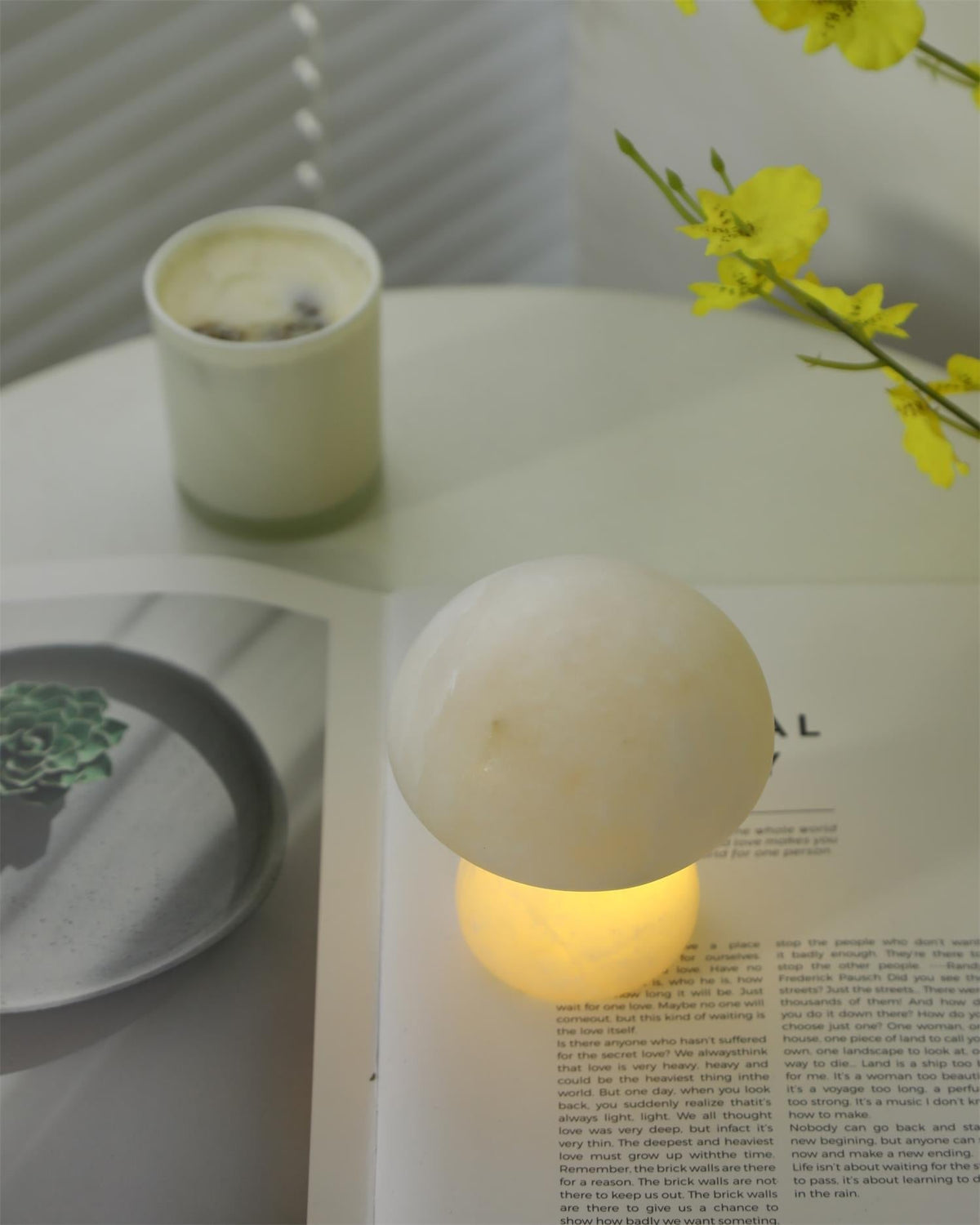 Fungi lampada da tavolo con batteria integrata