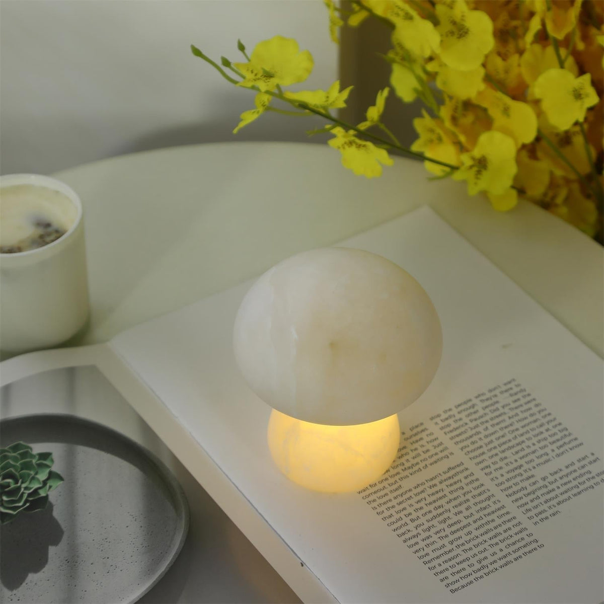 Fungi lampada da tavolo con batteria integrata