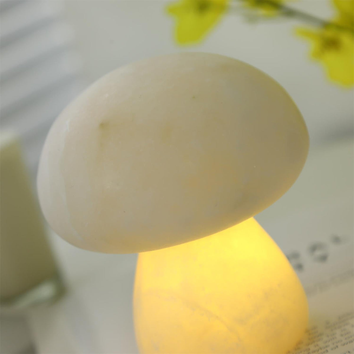 Fungi lampada da tavolo con batteria integrata
