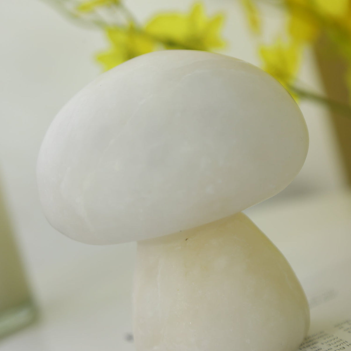 Fungi lampada da tavolo con batteria integrata
