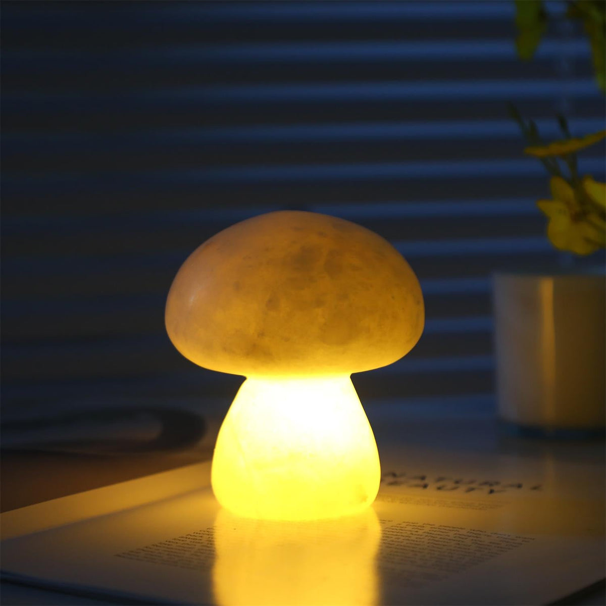 Fungi lampada da tavolo con batteria integrata