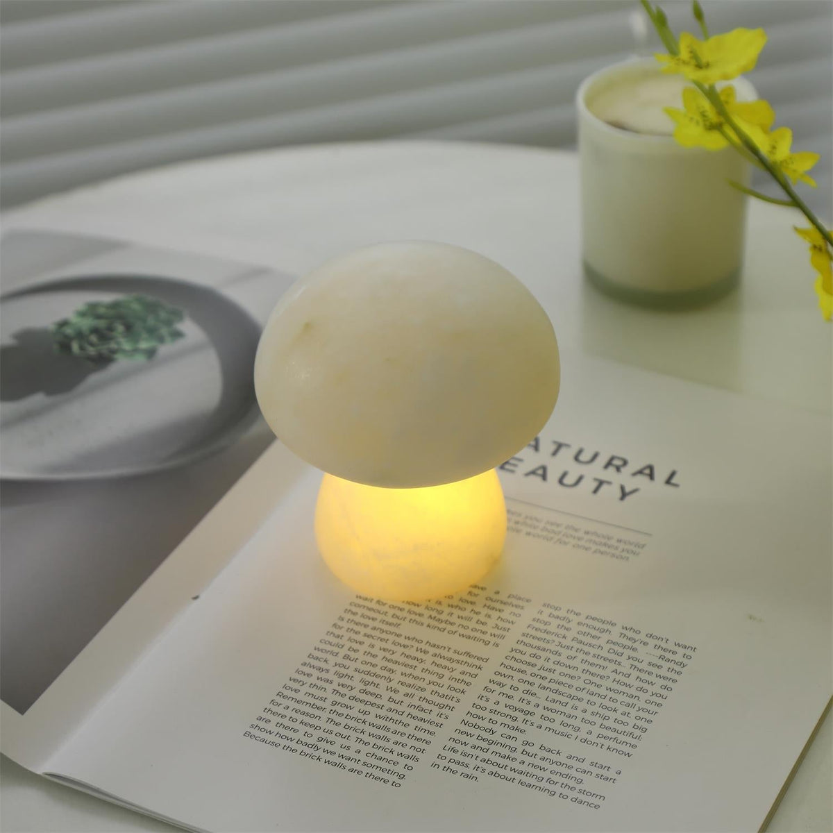Fungi lampada da tavolo con batteria integrata