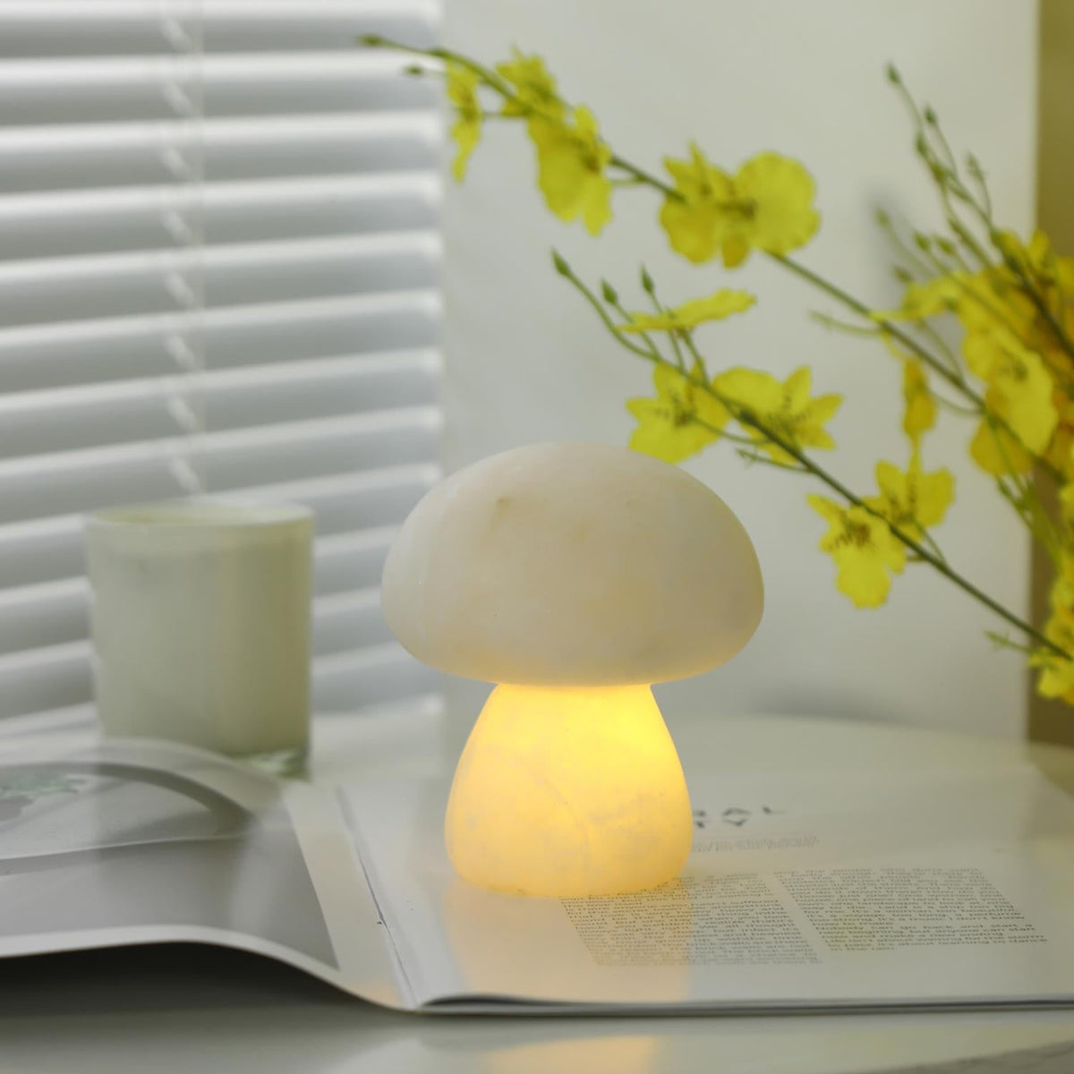 Fungi lampada da tavolo con batteria integrata