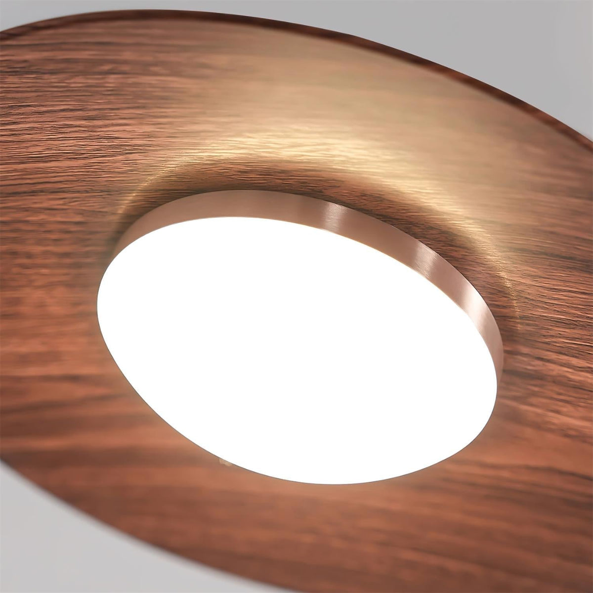 Soraena lampada a sospensione