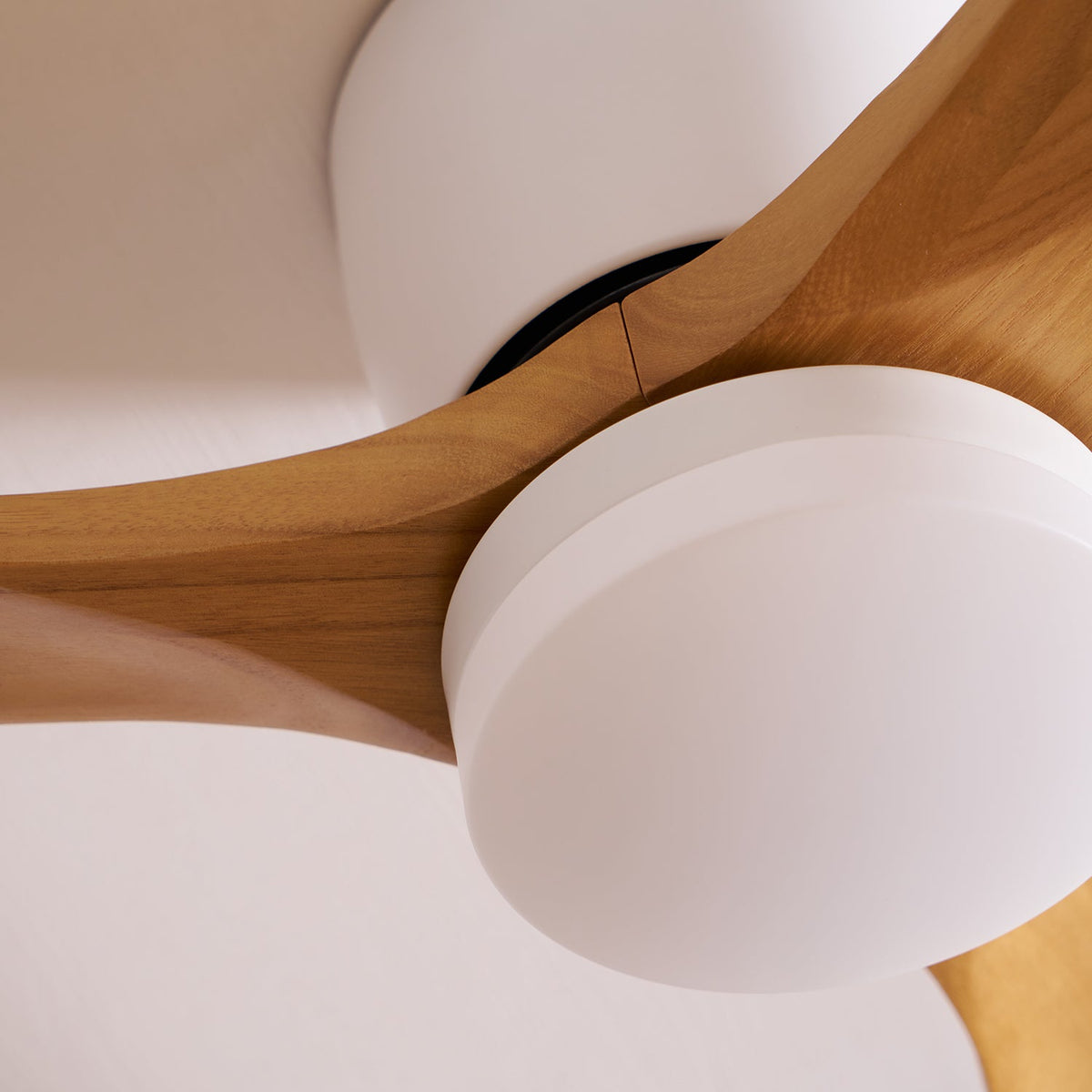 Elena Ventilatore da soffitto con luce in legno moderno