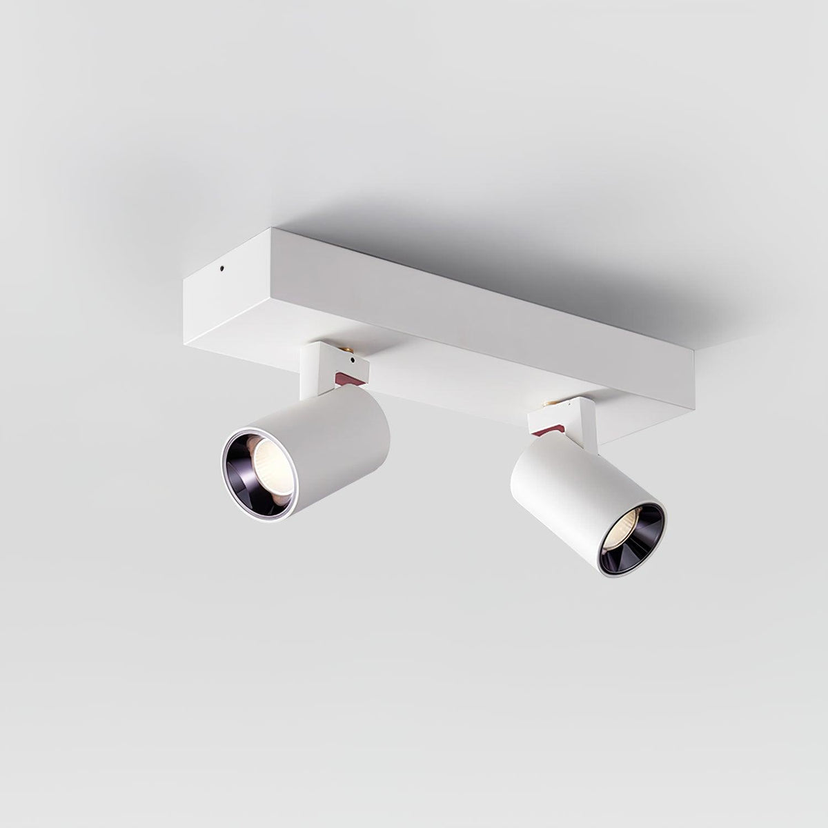 Falis plafoniera POG Double Linear con Spot Regolabili