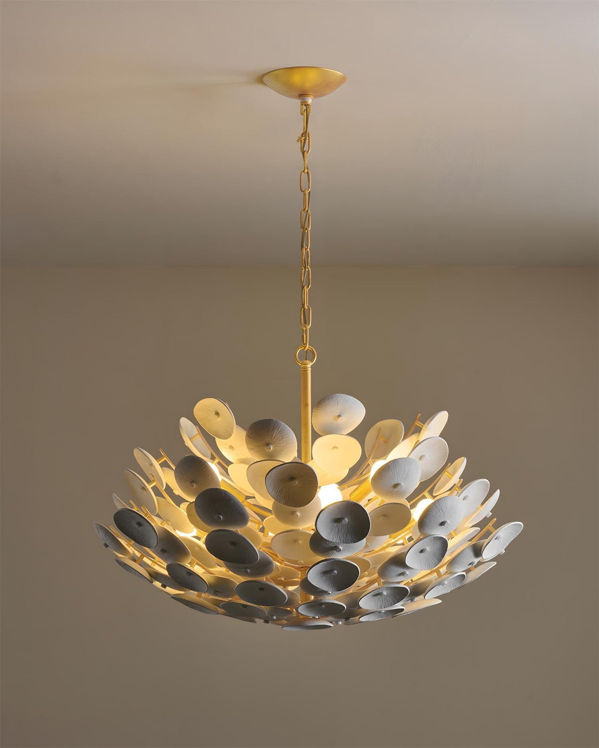 Ciruira lampadario