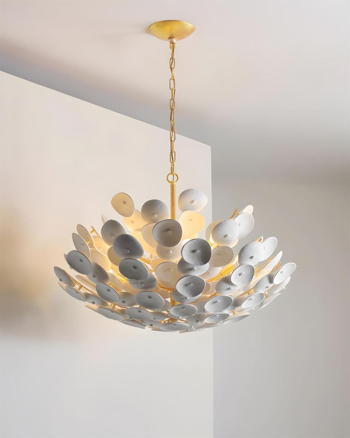 Ciruira lampadario