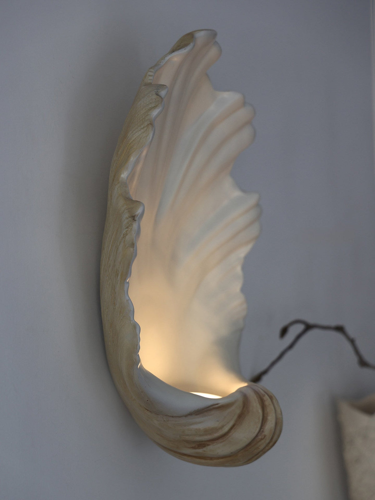 Shell applique
