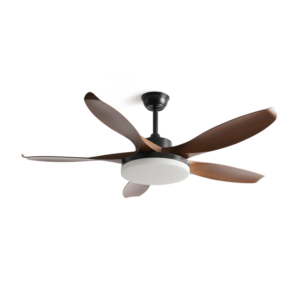 Liororeria ventilatore da soffitto con luce