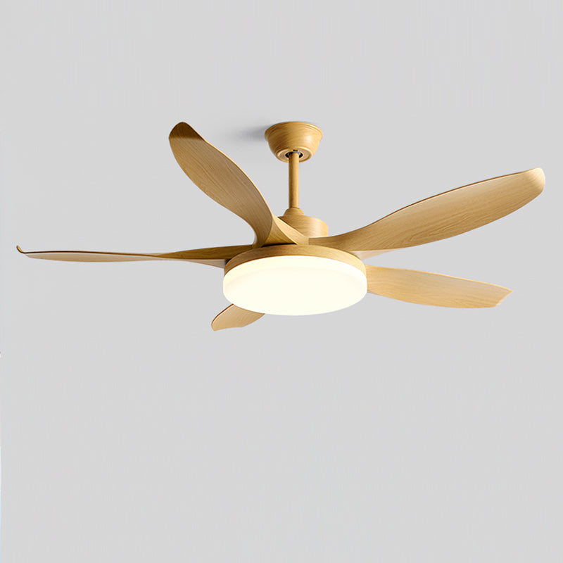 Liororeria ventilatore da soffitto con luce