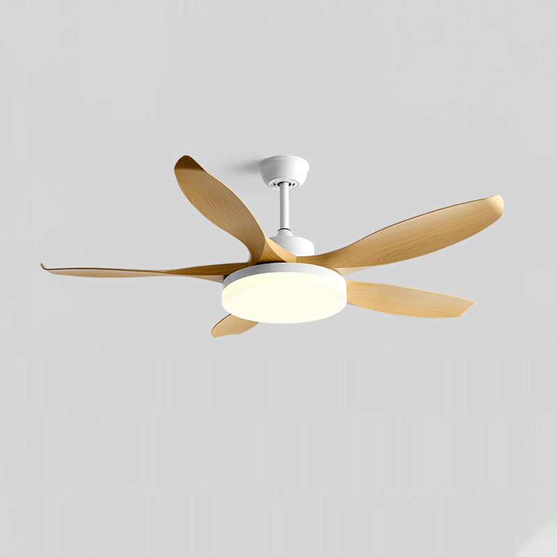 Liororeria ventilatore da soffitto con luce