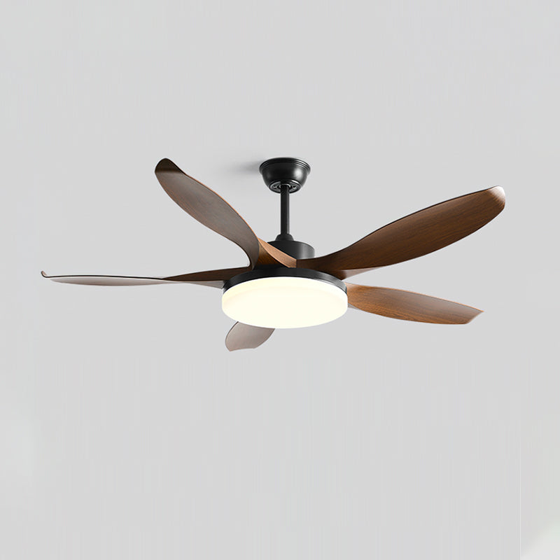 Liororeria ventilatore da soffitto con luce