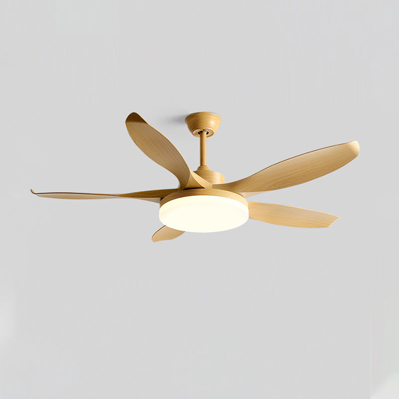 Liororeria ventilatore da soffitto con luce