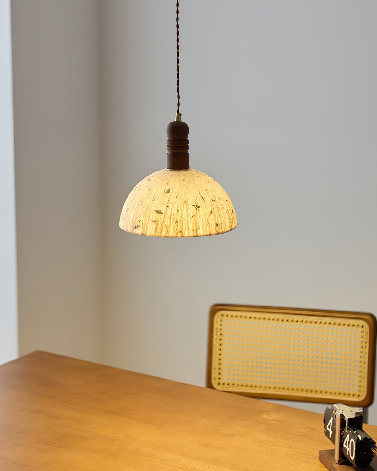 Lioroine lampada a sospensione con cupola
