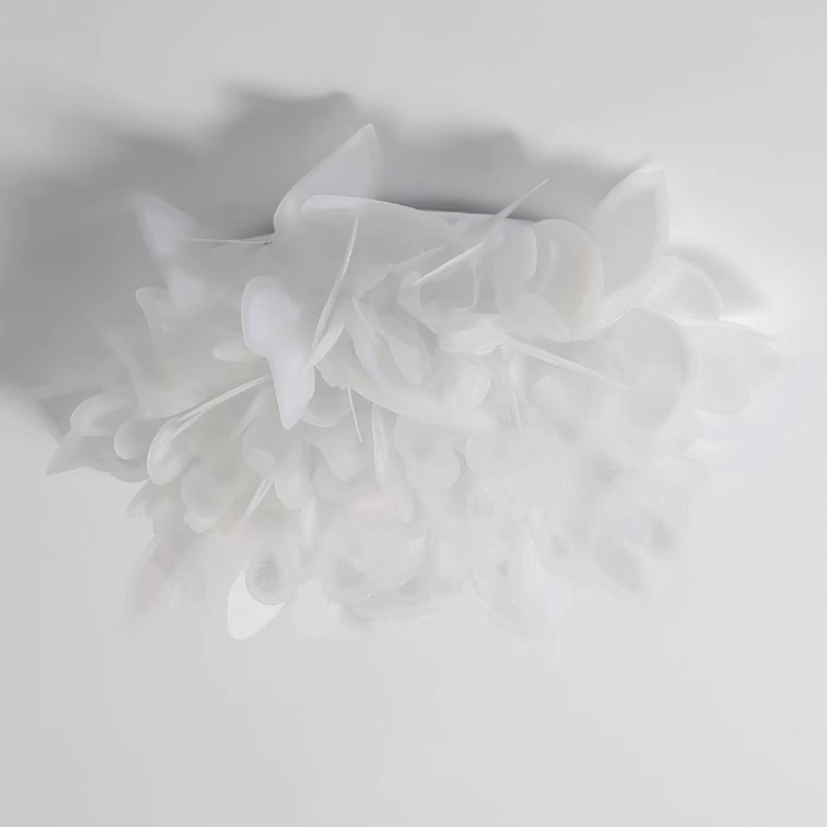 Cirenella lampada da soffitto