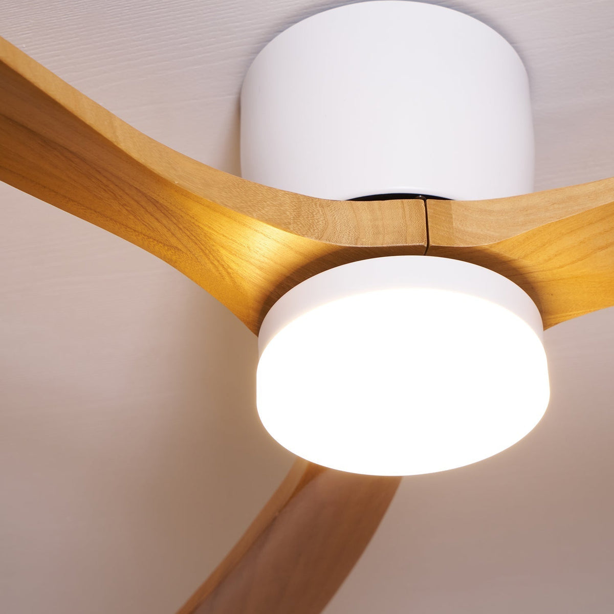 Miroise ventilatore da soffitto con luce